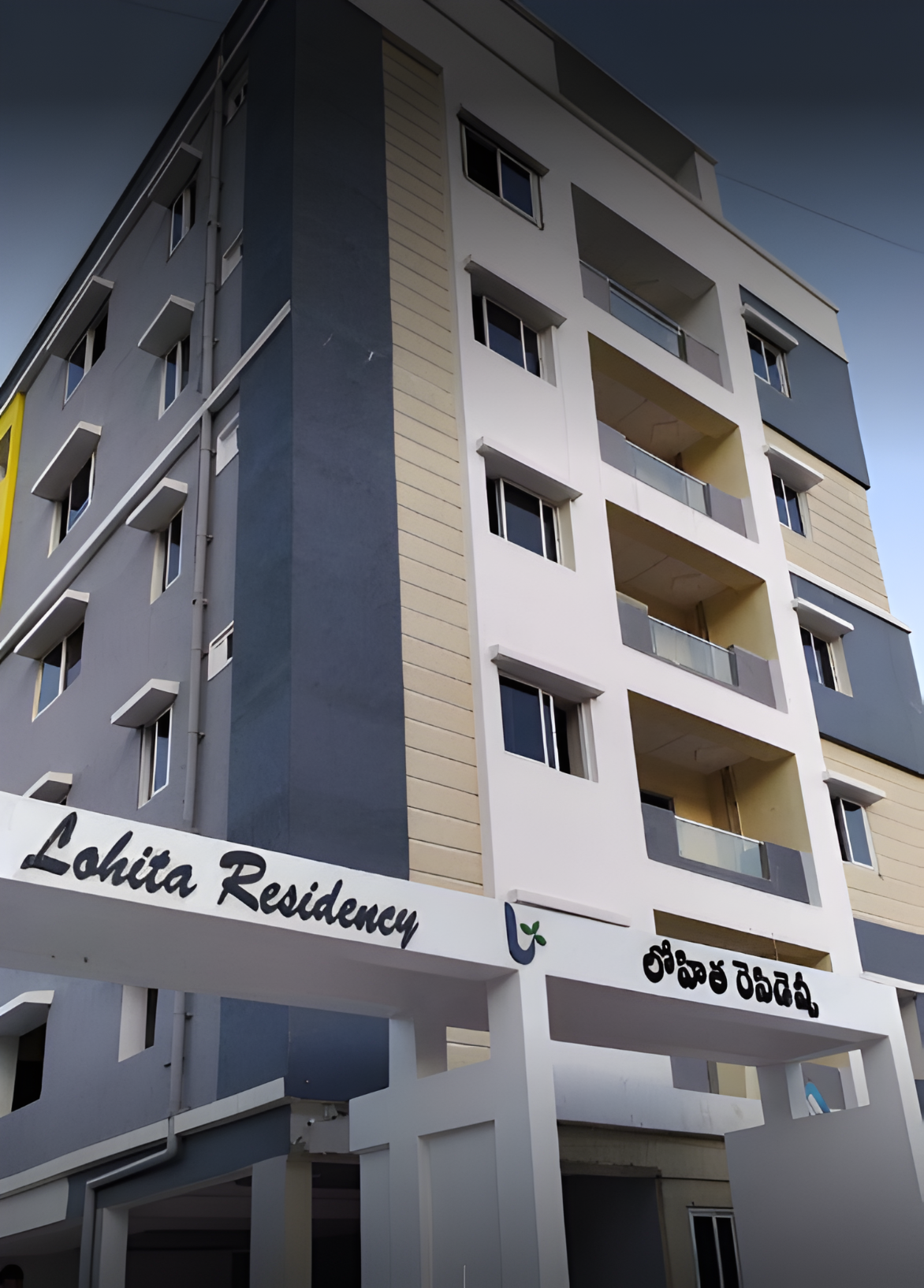 Villa Community Project